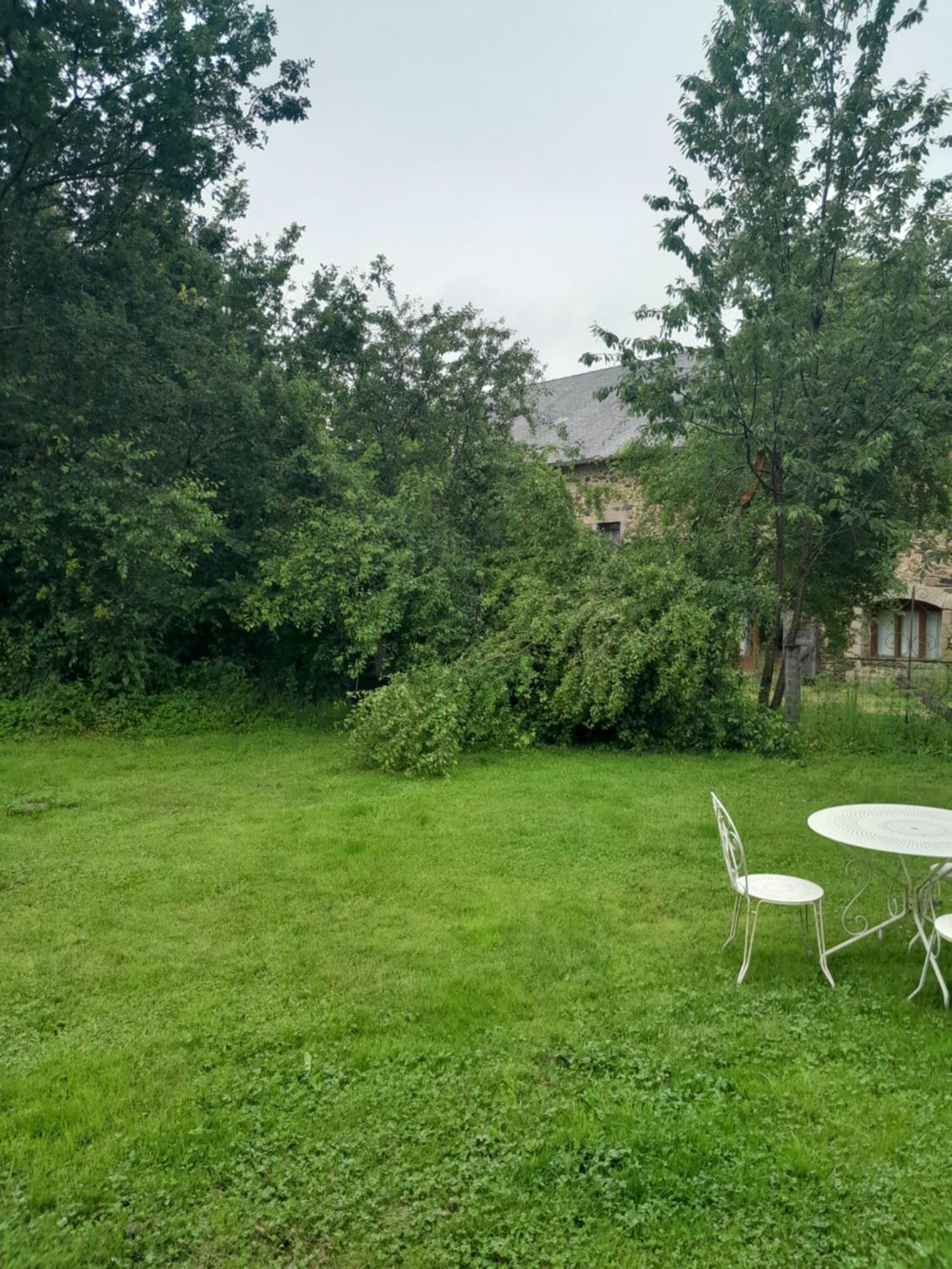 La Petite Salamandre Bleue La Croisille-sur-Briance Экстерьер фото